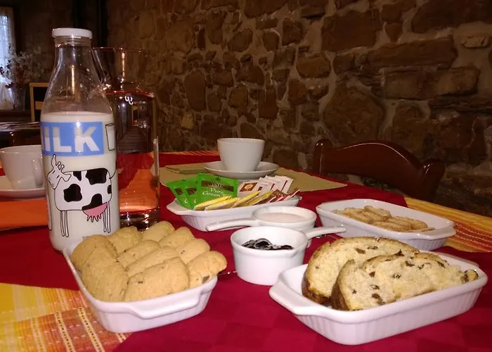 La Collina Dei Franchi Bed and breakfast Camporgiano